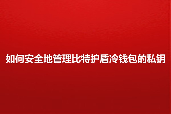 如何安全地管理比特护盾冷钱包的私钥🔒💰